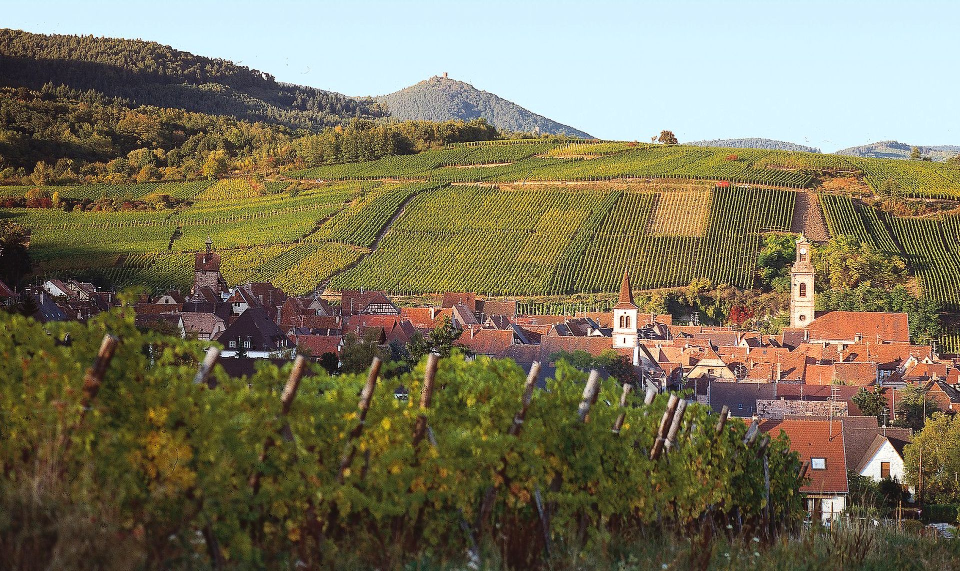 FAMILLE HUGEL