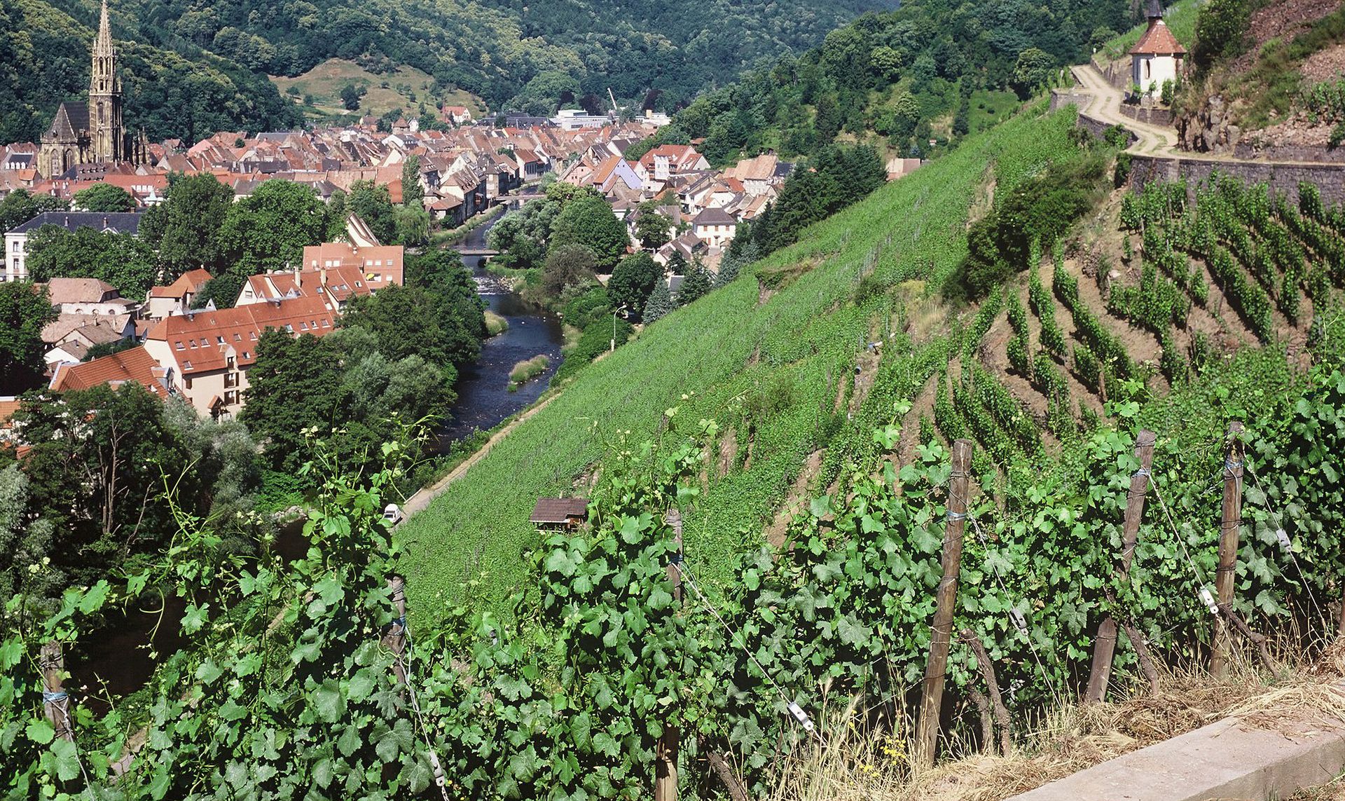 Domaine Zind Humbrecht