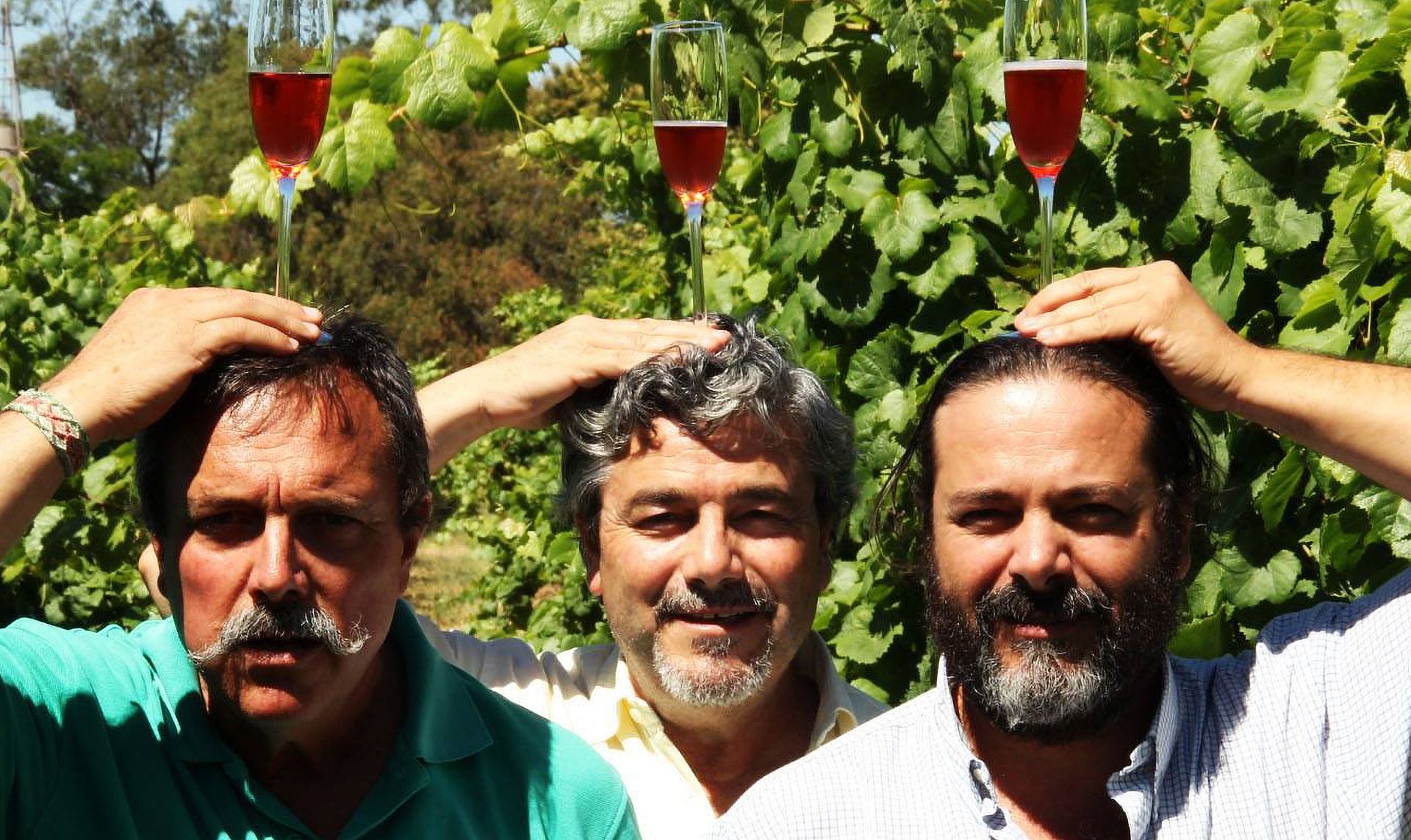 Pisano Family Vineyard