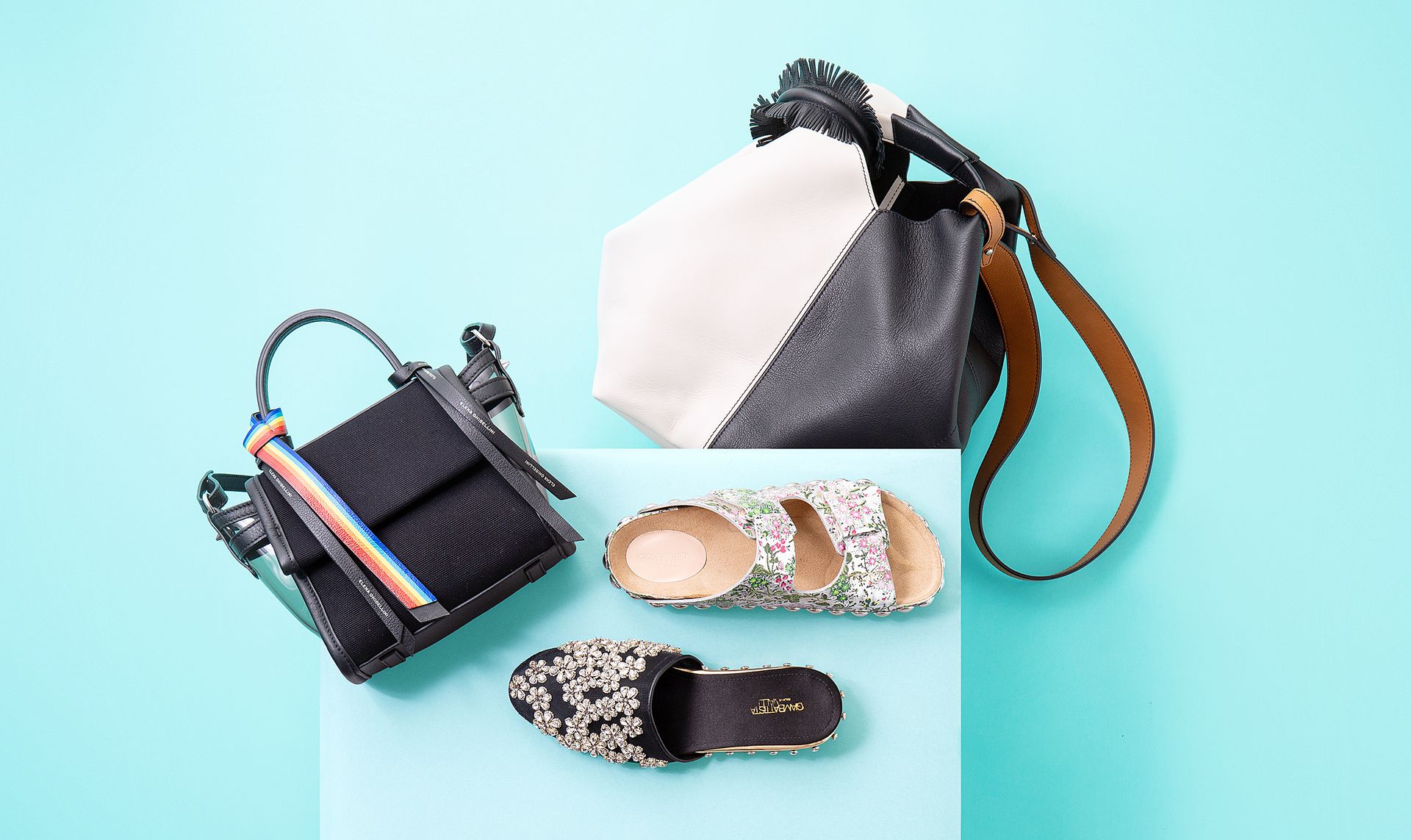 Luxury Bag & Shoes Collection