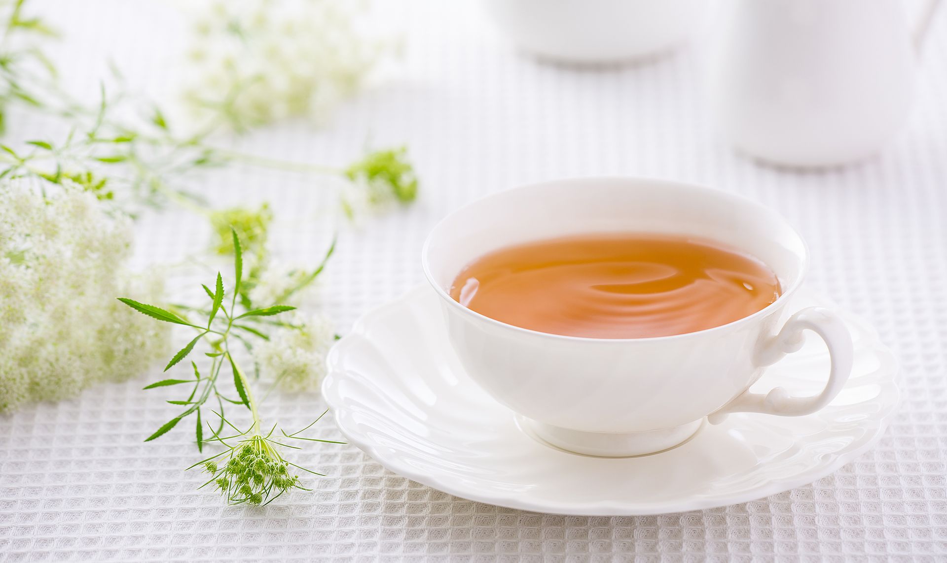 AHMAD TEA