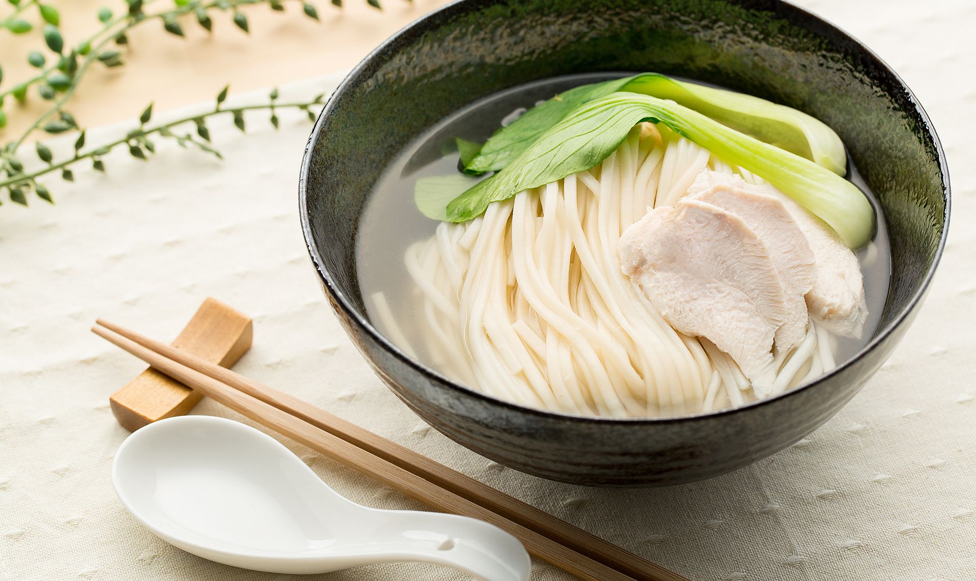 美人うどん