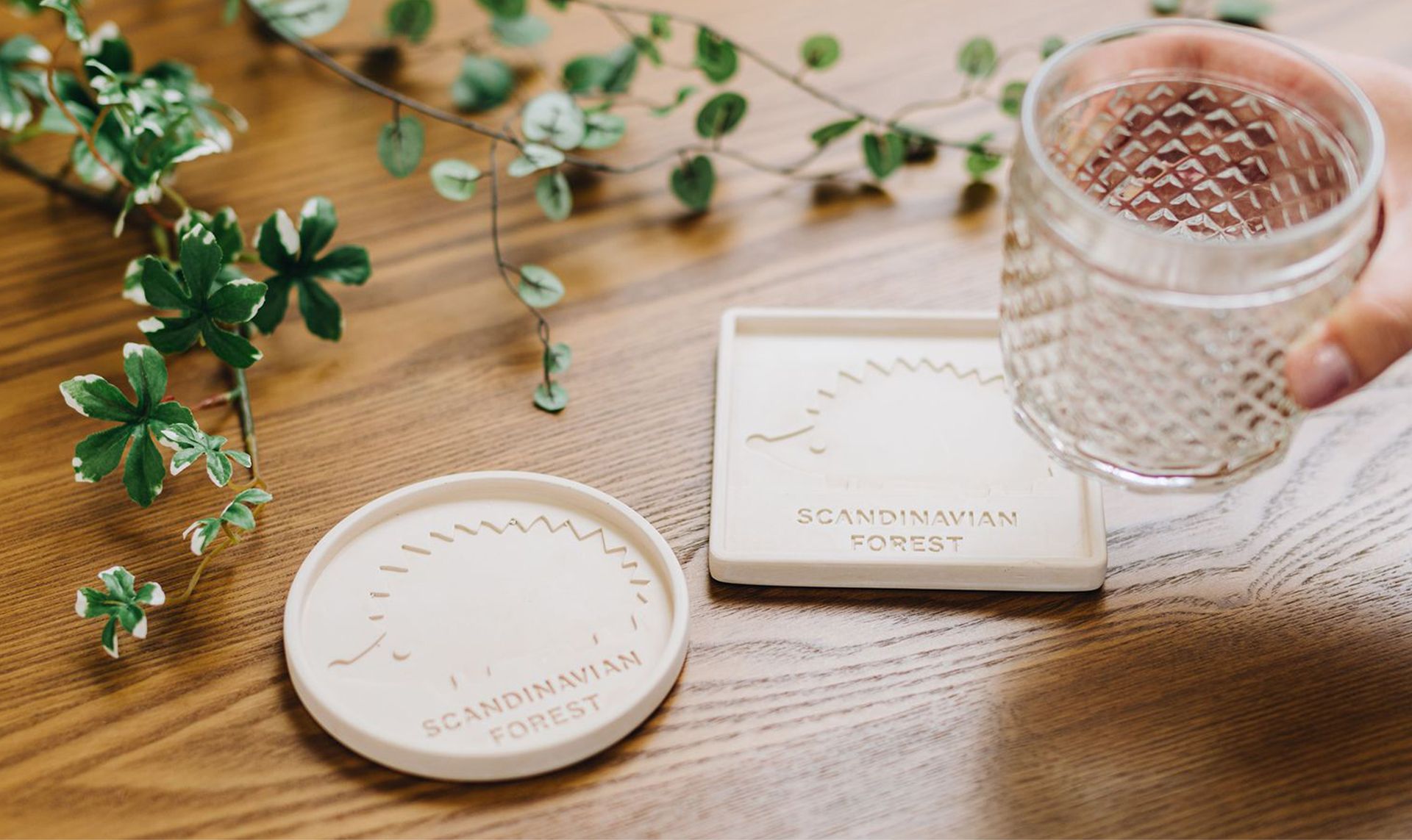 SCANDINAVIAN FOREST Interior 