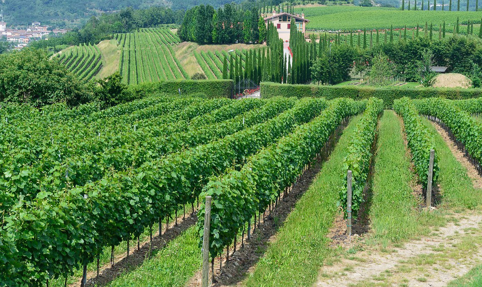 Ziliani Franciacorta
