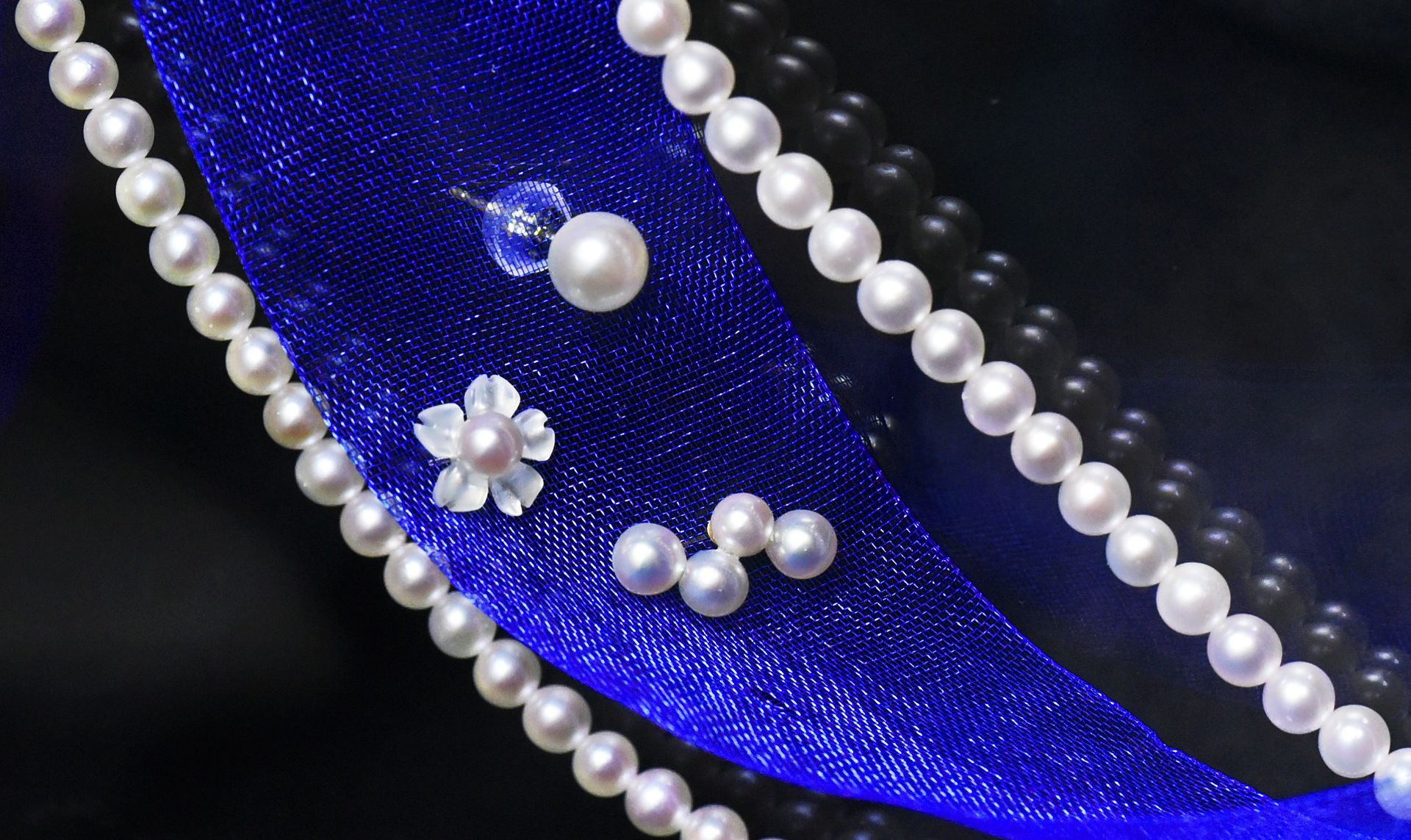 Pearl Jewelry Colletion 