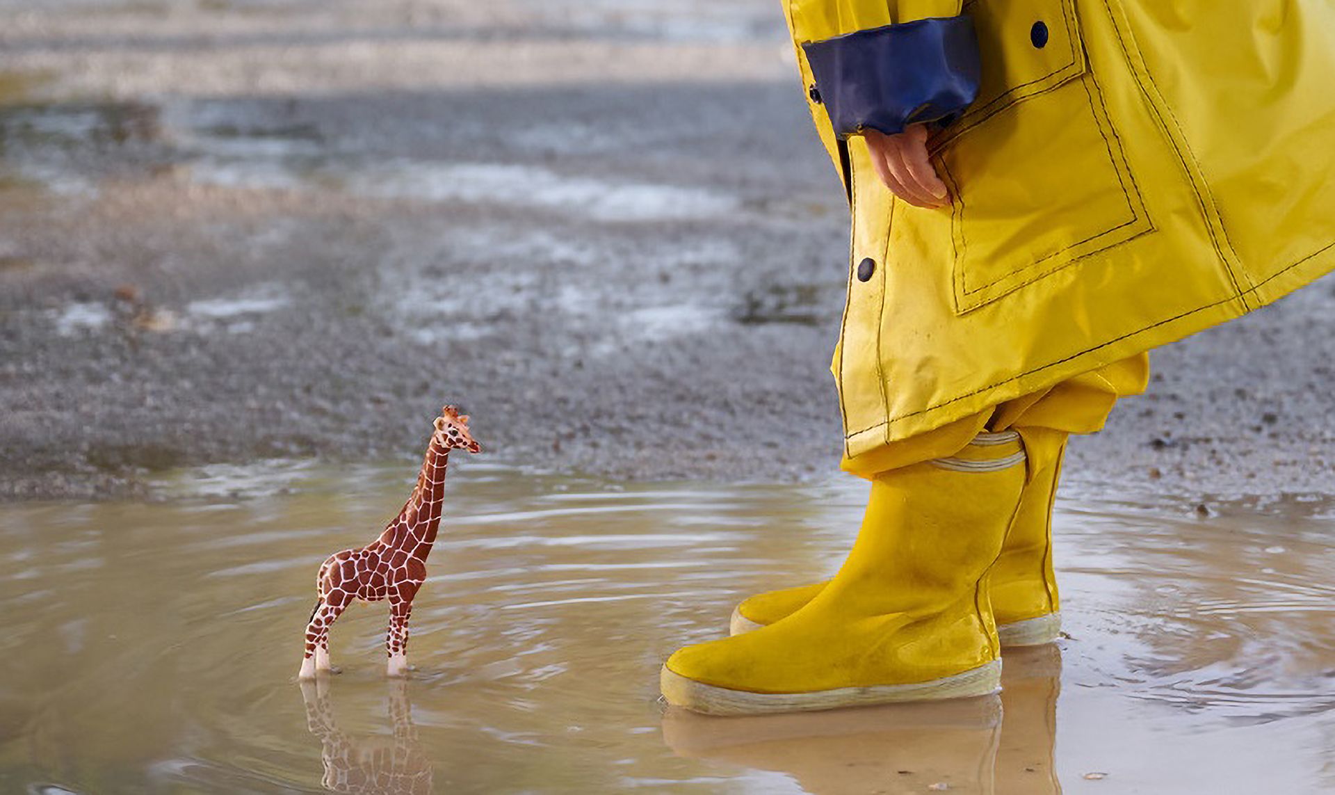 Schleich