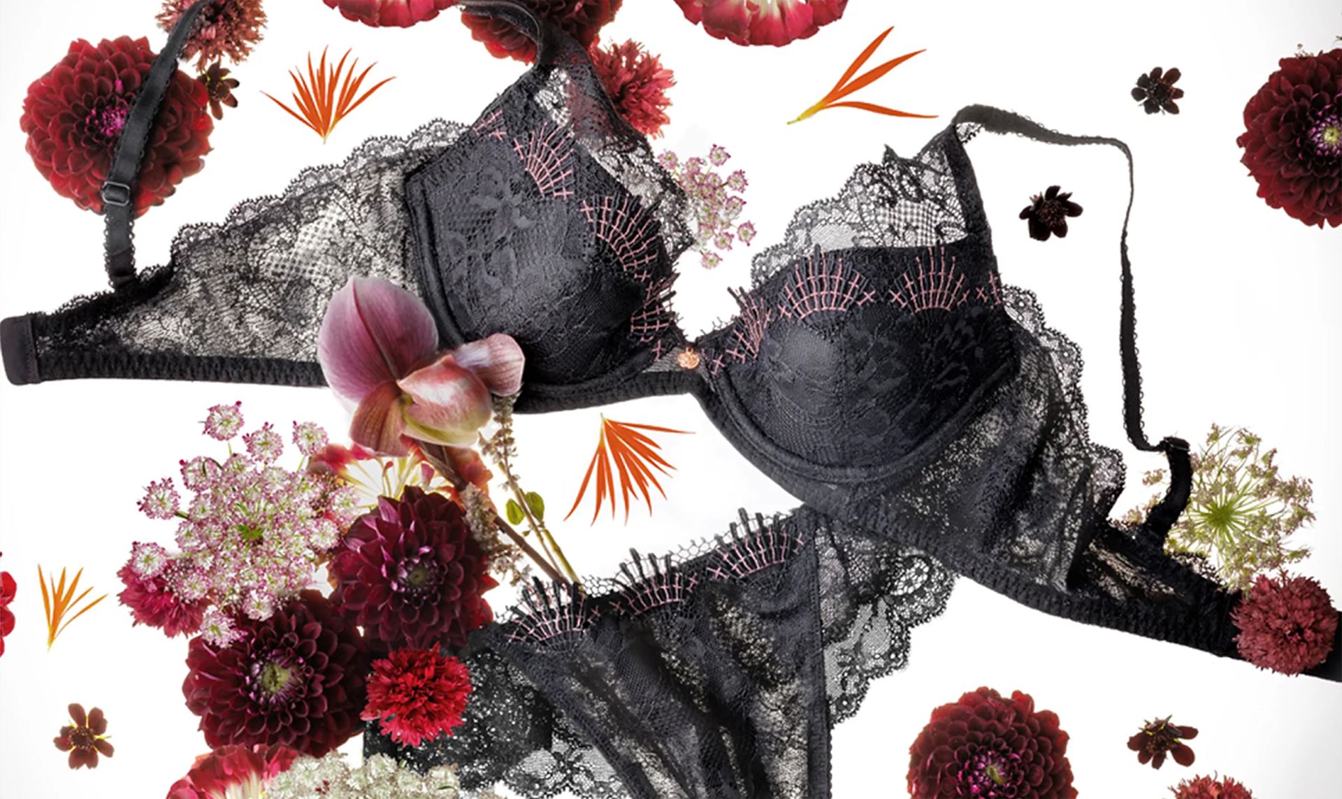 GOLD LABEL by Triumph